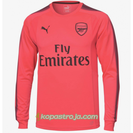 Billiga Fotbollströjor Arsenal Målvakt Borta tröja 2017/18 Långärmad