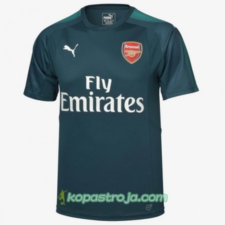 Billiga Fotbollströjor Arsenal Målvakt Hemma tröja 2017/18 Kortärmad