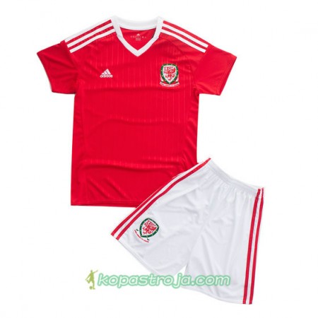 Billiga Fotbollströjor Wales Barn Hemma tröja Euro 2016